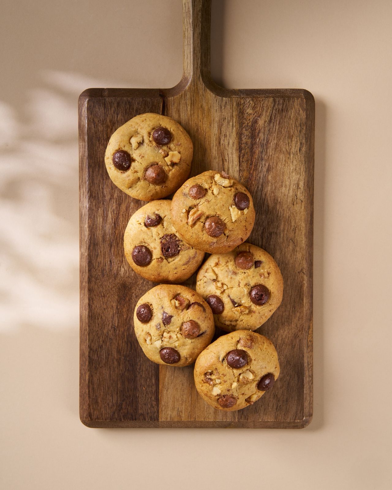 Choco Chip Walnut Cookie